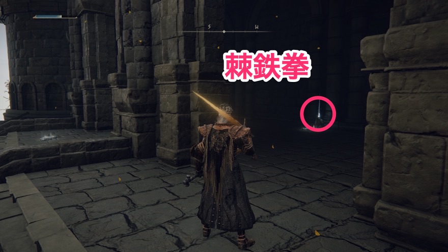 棘鉄拳周辺の見た目