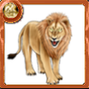 百獣の王ライオンの画像