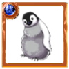 赤ちゃんペンギンの画像