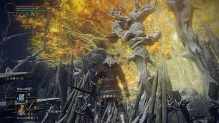 スカラベ対時画面