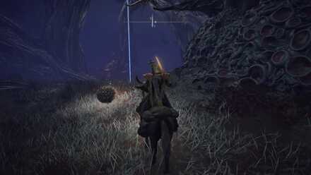 ケイリッドのスカラベ