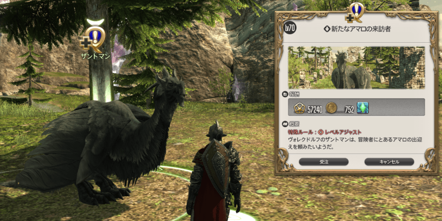 新たなアマロの来訪者