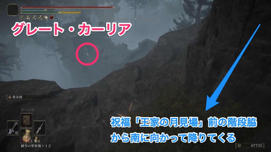 グレートカーリアの周辺の見た目