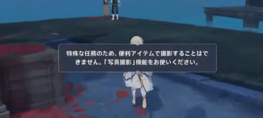 写真機ではダメ