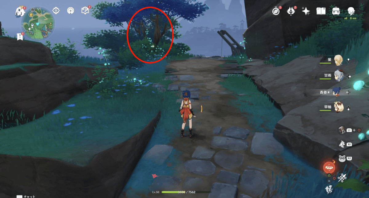 見えてきた木にオニカブトムシがいます