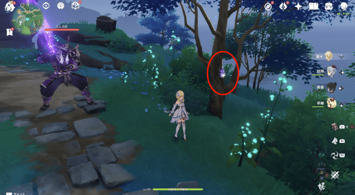 オニカブトムシ