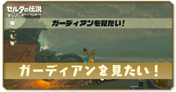 ガーディアンを見たい!の場所と攻略|シタタンケの祠