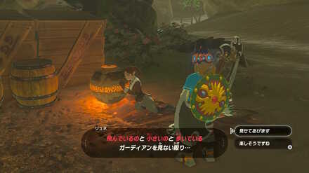 ガーディアンを見たい！の攻略