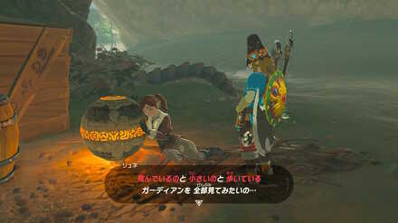 ガーディアンを見たい！の攻略