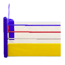 あおコーナーのイエローの画像