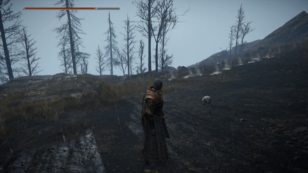 アルター高原のスカラベ