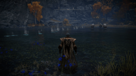 アルター高原のスカラベ