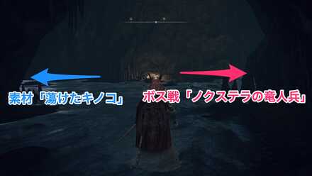 エインセル河⑧