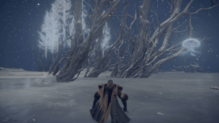 巨人たちの山嶺のスカラベ