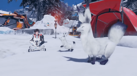 クヴァリスリージョンの小動物