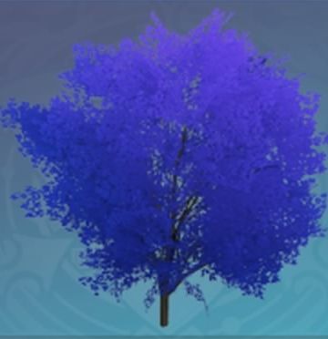 「露に濡れた棟葉」の画像