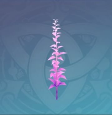 「雪解甚三紅」画像