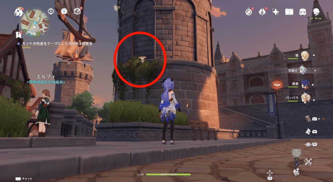 マッシュルーム場所