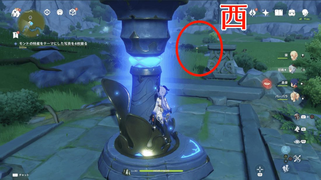 具体的なアスターの場所