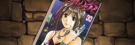 【8702】烈火の炎の単行本30巻【霧沢風子】