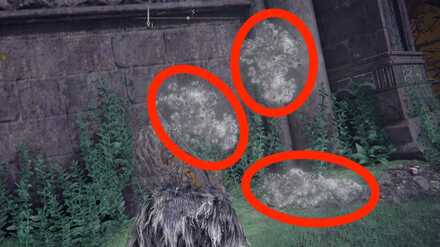 霊廟行き方画像