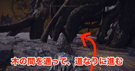 地図断片への行き方画像