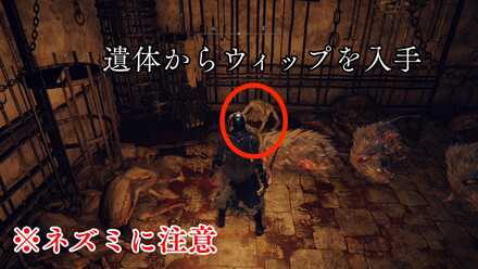 遺体からウィップを入手