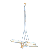 オーニソプター画像