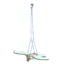 オーニソプターのブルーの画像