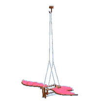 オーニソプターのレッドの画像