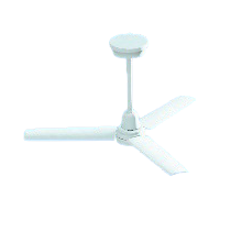 シーリングファン画像