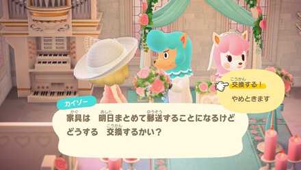 カイゾーの画像