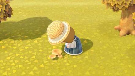 他のプレイヤーが抜いていないか確認する