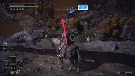 木の枝を伝って霊廟の前まで進む