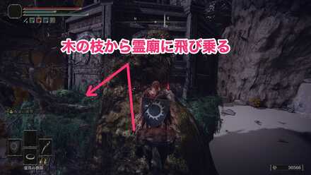 木の枝から霊廟に飛び乗る