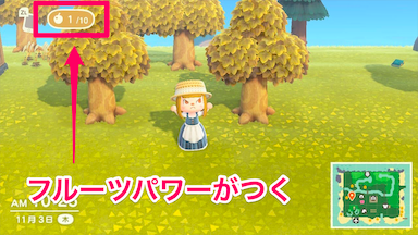 フルーツパワーの画像