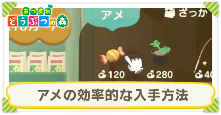 アメの入手方法