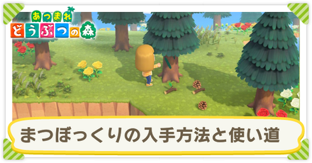 まつぼっくり