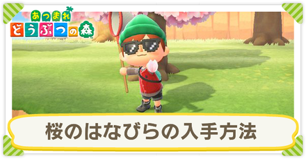 桜のはなびら