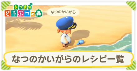 なつのかいがら