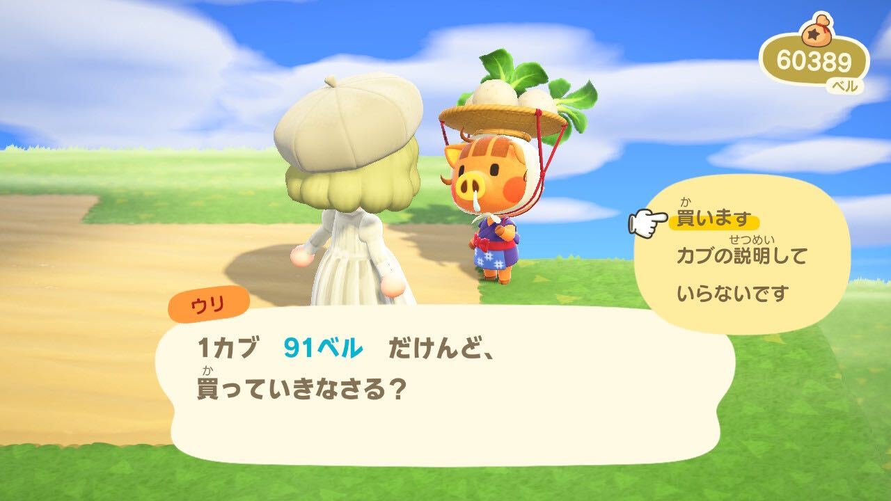 カブが安い画像