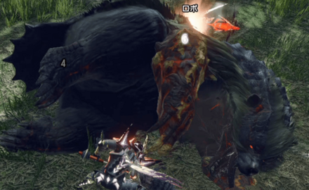 ヌシアオアシラ　ダウン