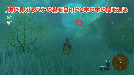 はじめてのしれんの道順④