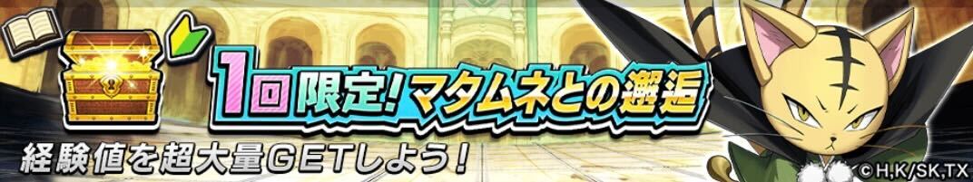 マタムネとの邂逅のバナー
