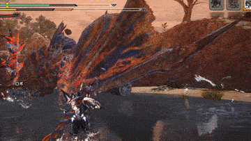 ヌシディアブロス ダウン