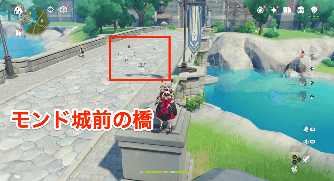 鶏肉の収集場所②