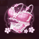 私装のシステムについて