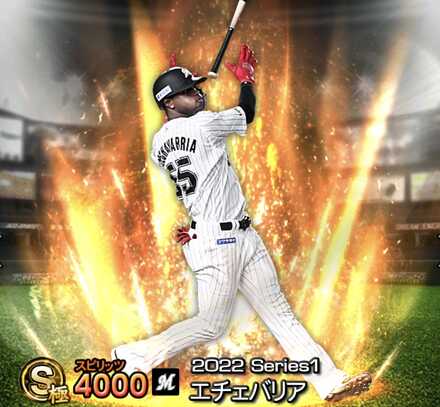 エチェバリア画像