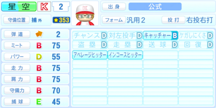星空星光のステータス画像