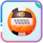 公式バレーボール